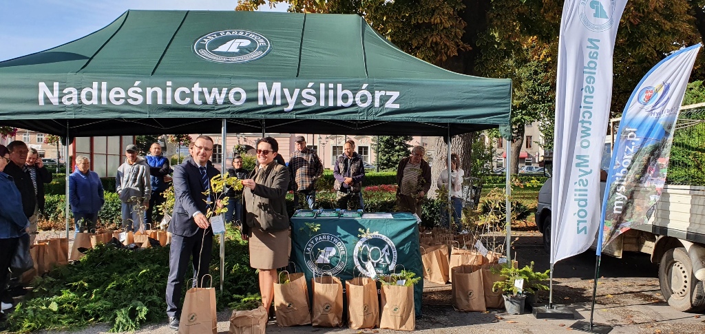 Zdjęcie przedstawia akcję rozdawania sadzonek drzew